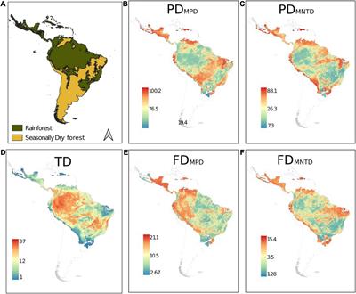 Incongruent Spatial Distribution of Taxonomic, Phylogenetic, and Functional Diversity in Neotropical Cocosoid Palms